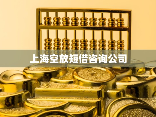上海空放短借咨询公司
