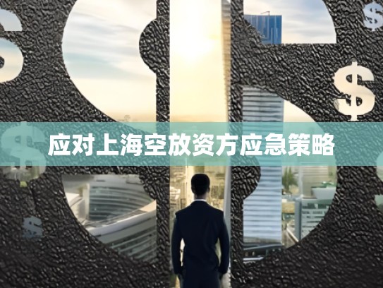 应对上海空放资方应急策略
