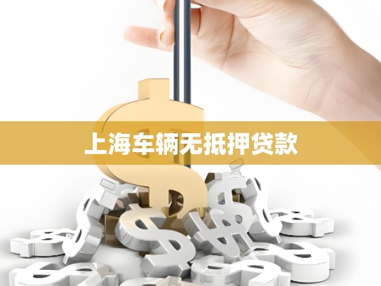 上海车辆无抵押贷款
