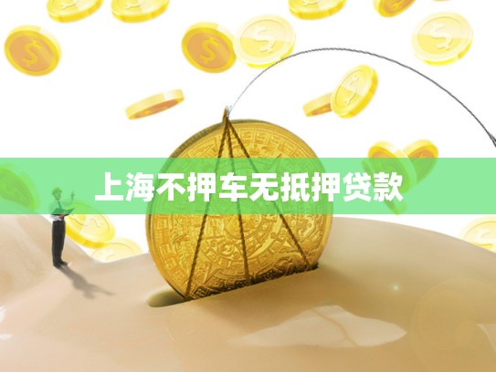 上海不押车无抵押贷款