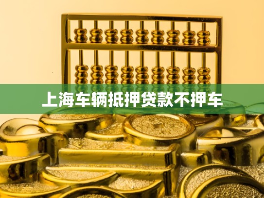 上海车辆抵押贷款不押车