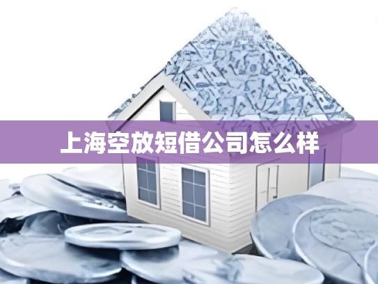 上海空放短借公司怎么样