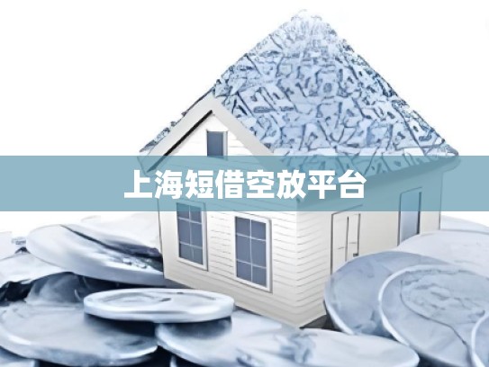 上海短借空放平台